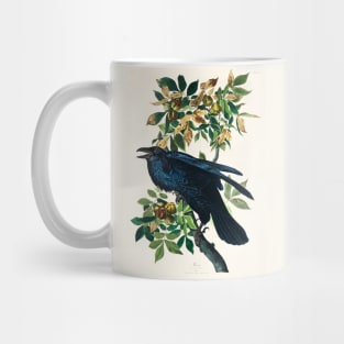 Raven from Birds of America (1827) Mug